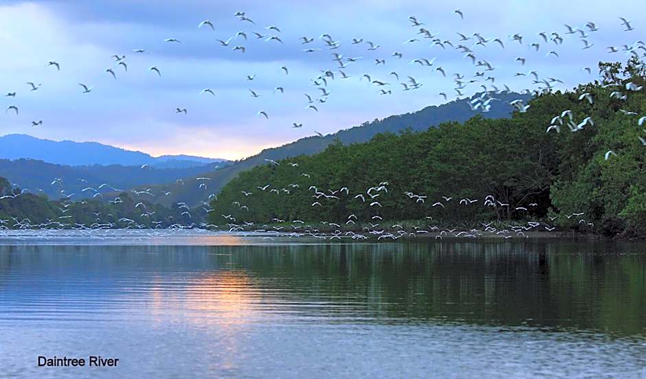 Daintree Riverview Lodges