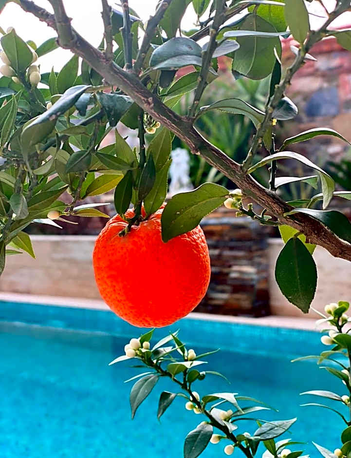 Livia Garden Hotel