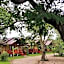 Chiang Dao Reset