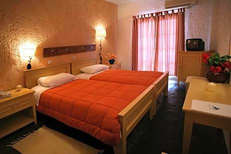 Double or Twin Room with Mountain View