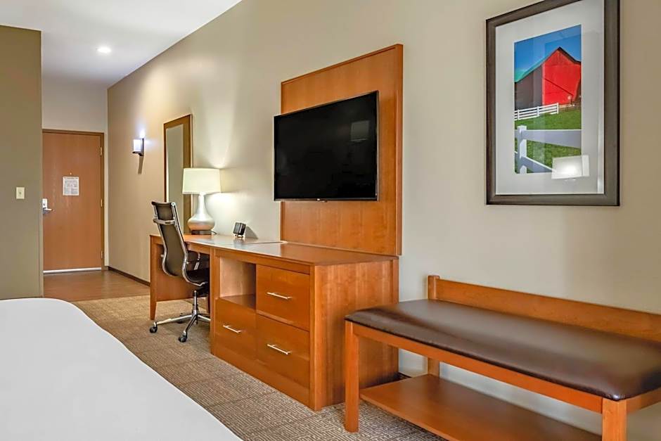 Comfort Suites Hotel and Conference Center