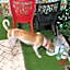 MIMPIMOON Langkawi