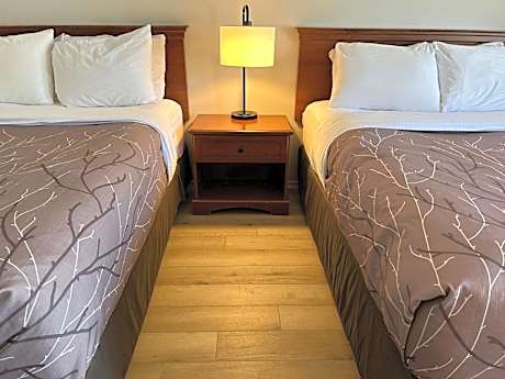 Double Room with Two Double Beds