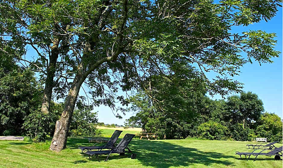 Myregaard B & B and Apartments