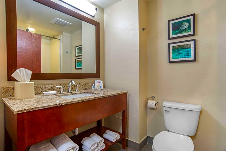 Comfort Suites Tallahassee Downtown