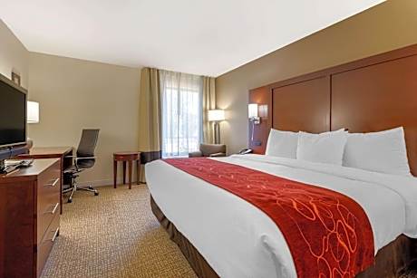 King Room - Accessible/Non-Smoking