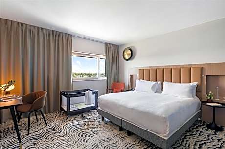 Superior King Room with Lake View