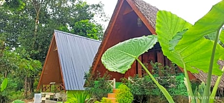 Green Forest Tangkahan
