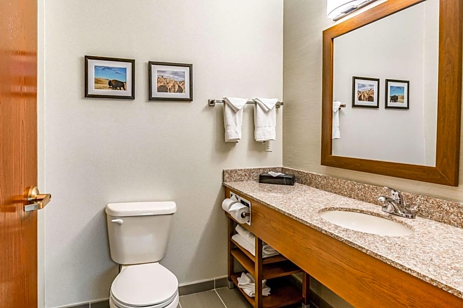 Comfort Inn & Suites Rapid City