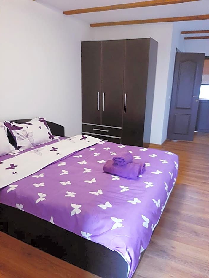 Casa de vacanta Sadu