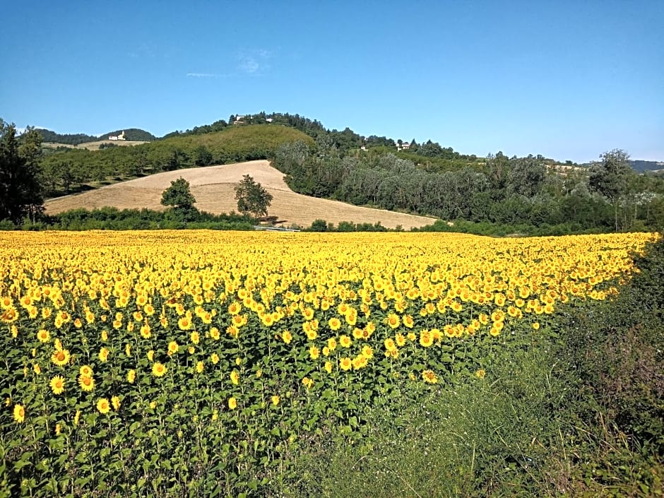 Bed and Breakfast Balli coi Lupi