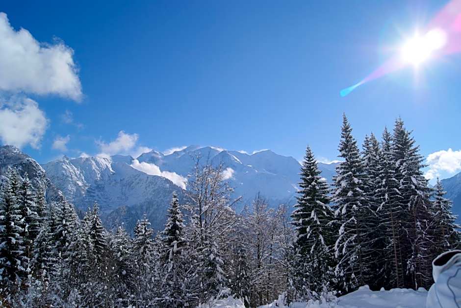 Best Western Plus Pays du Mont Blanc