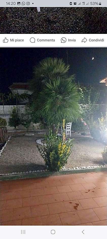 Il giardino del casciar