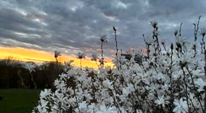Country House Au Ballet des Hirondelles