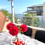 Family Hotel Morska Zvezda