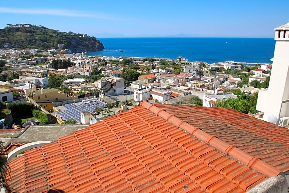 Lacco Terrace Solarium