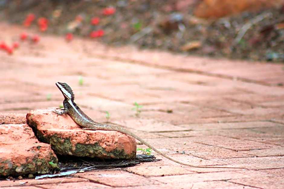 Coconut Grove Holiday Apartments