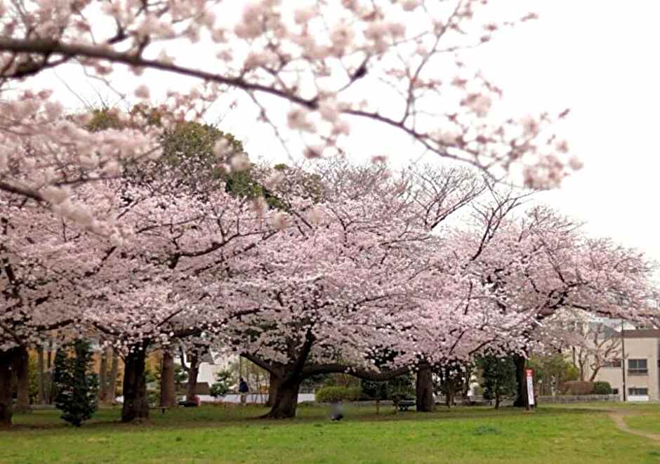 Kamei House