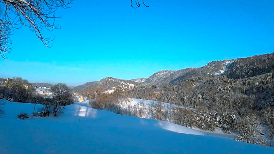 Au Coeur du Lapidaire