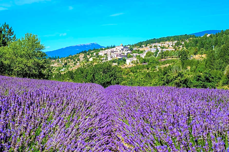 Village vacances Le Hameau des Oliviers