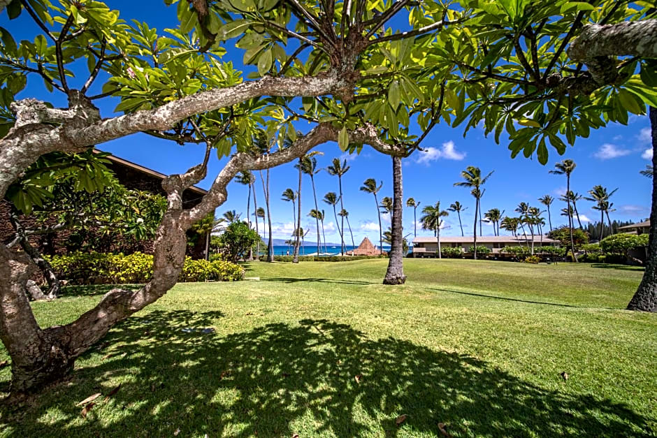 Napili Shores Maui By Outrigger