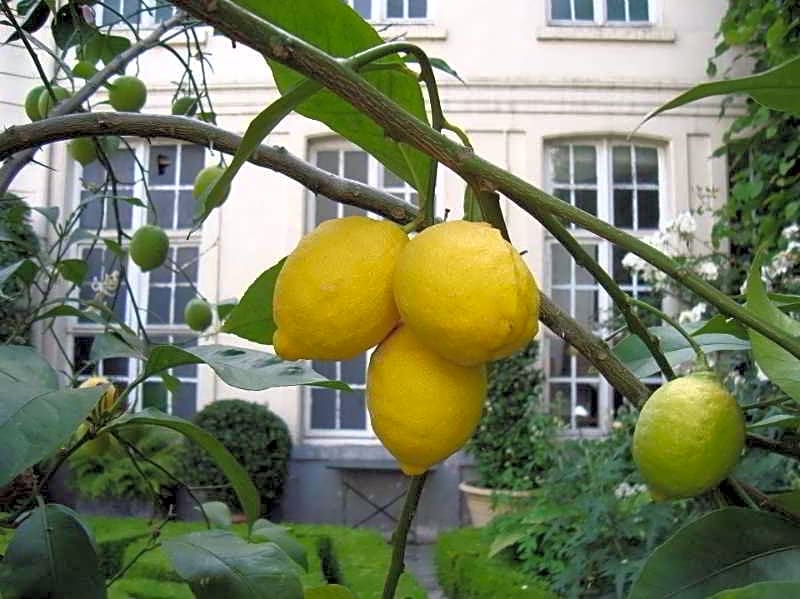 Verhaegen Chambres D'Hotes