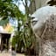 Pachamaya Holistic Wellness & Spa