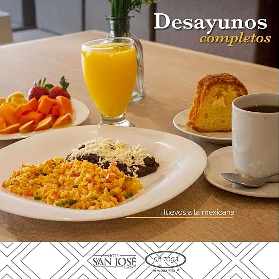 Hotel San Jose Plaza Coatepec