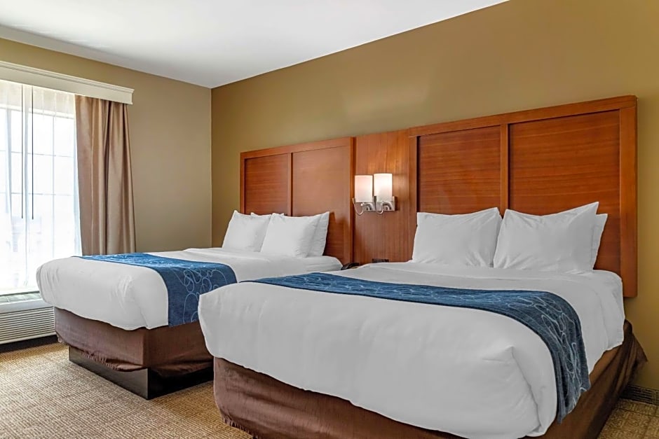 Comfort Suites Buda - Austin South