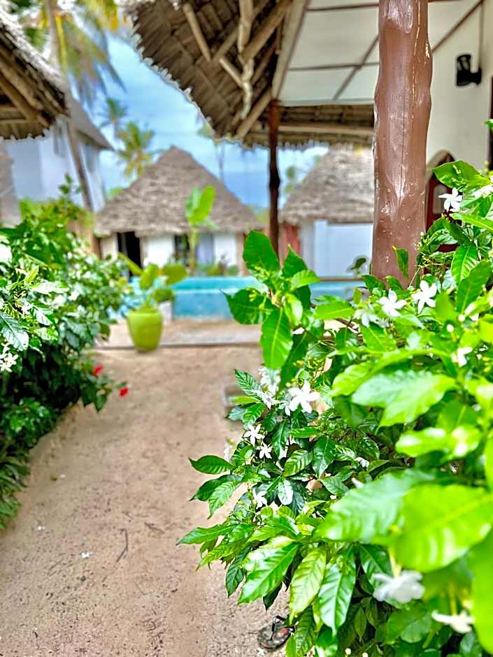 Jambiani White Sands Bungalows