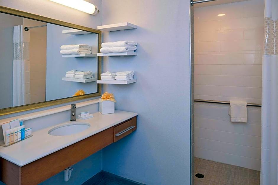 Hampton Inn By Hilton & Suites Denver-Speer Boulevard