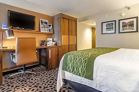 Superior King Room - Non Smoking