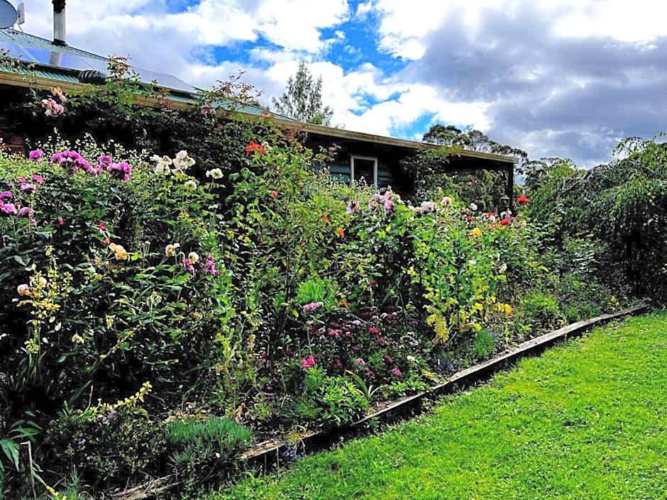 Green Gables B&B Waterfront Apartment or Garden Studio