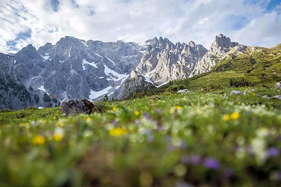 AlpenParks Hotel & Apartment Hochkönig