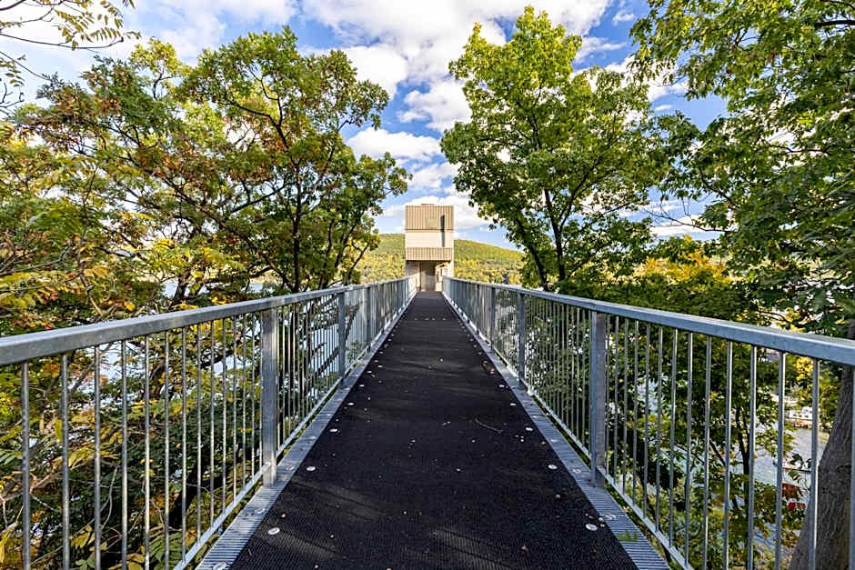 Canandaigua Lake Retreat with view and private beach access, foliage, hike, and Ski