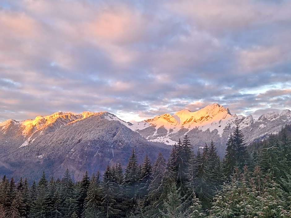 Alpine 1 bed Chalet with beautiful views