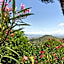 B&B La Rocca