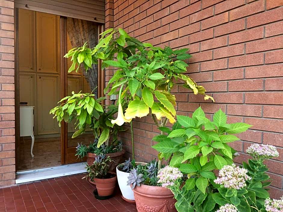 B&B Pergolesi