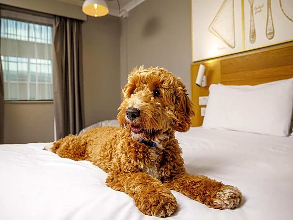 ibis Styles Birmingham Centre