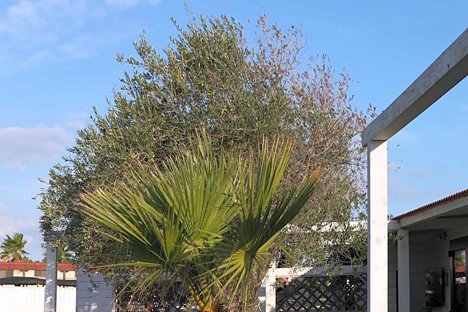 torquemada beach club