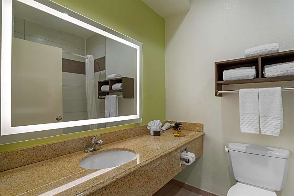 Best Western Plus North Houston Inn & Suites