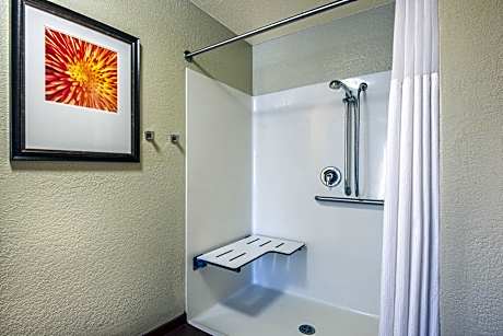 1 Double Bed Studio Suite Accessible Roll In Shower