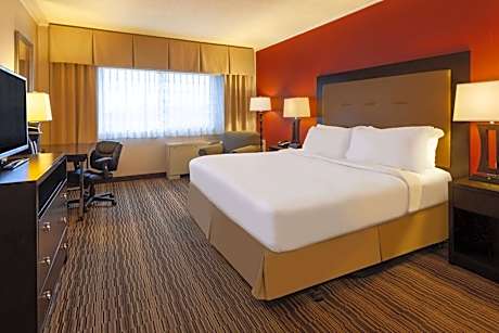 One-Bedroom Suite with One Double Bed - Non-Smoking