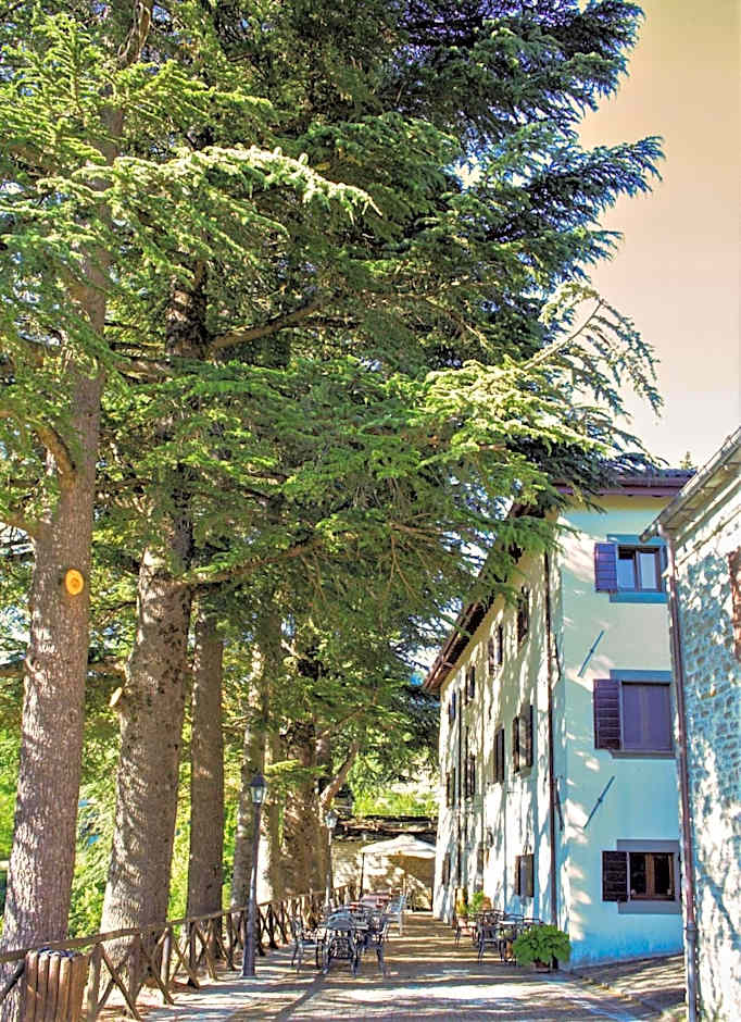 Il Palazzo Ridracoli