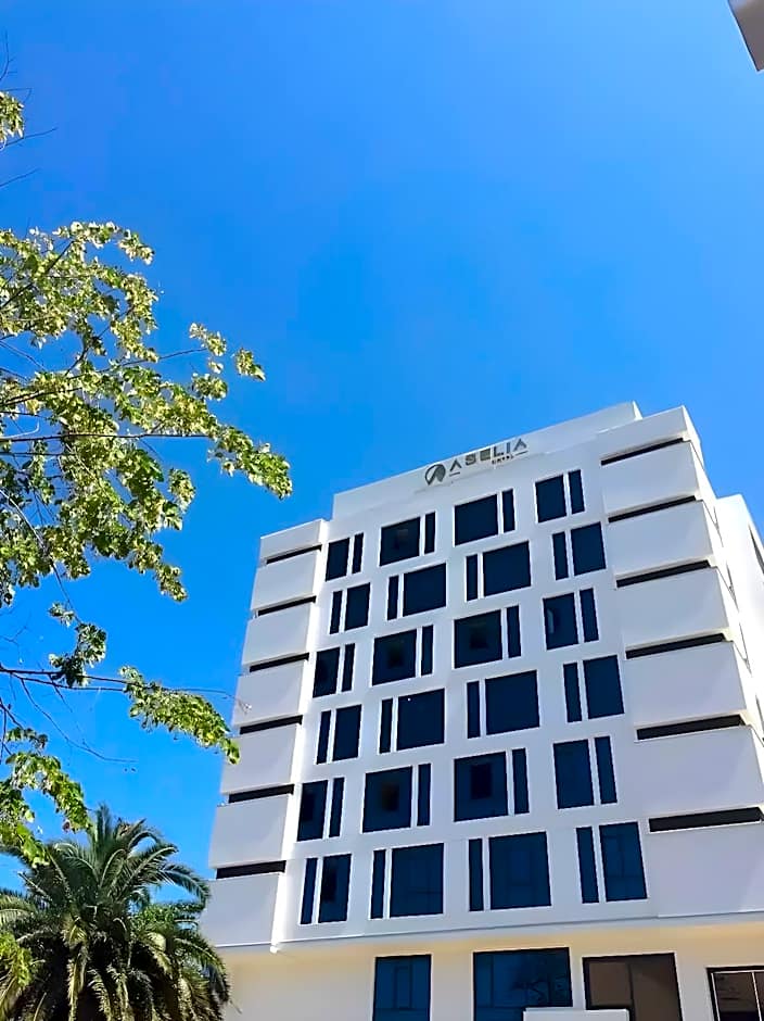 Aselia Hotel Trabzon