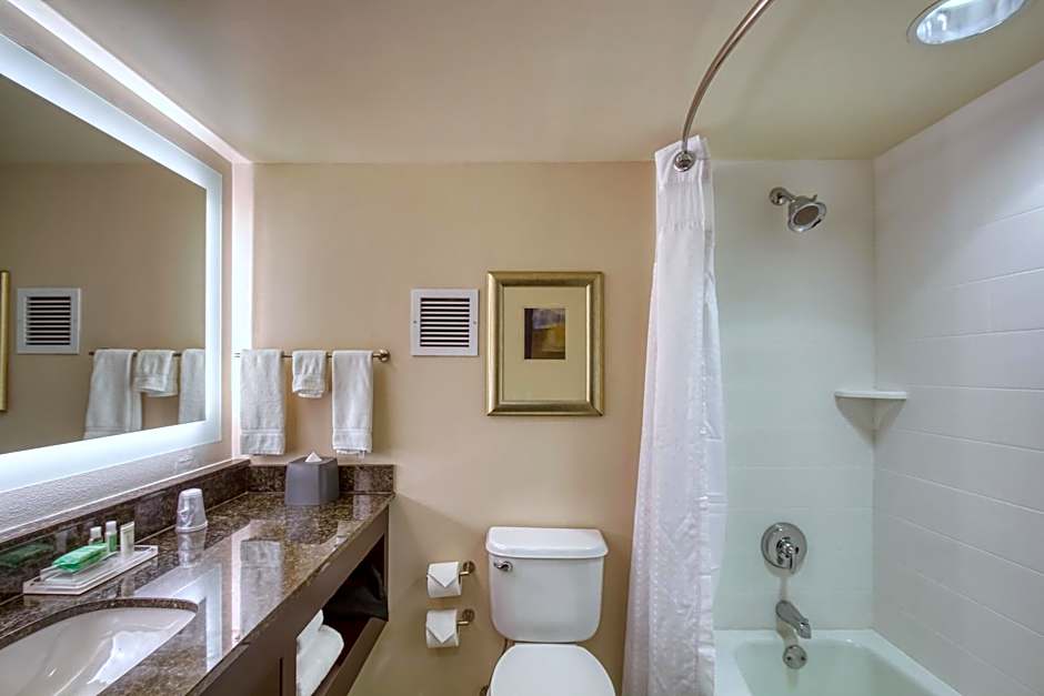 Holiday Inn & Suites Atlanta Airport North By IHG