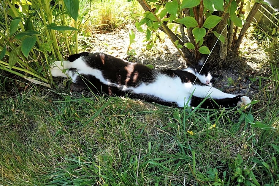 La Grille Fleurie, chambres d'hôte chez l'habitant