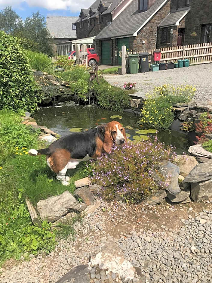 Stoke House Bed and Breakfast