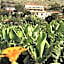 Vila Marta