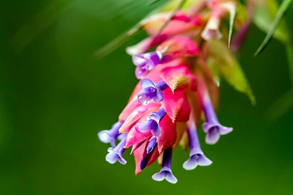 Hostel e Camping Rio das Pedras